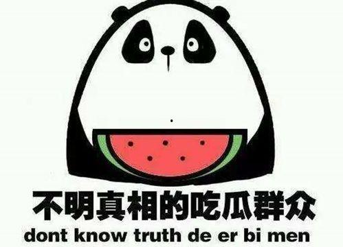 小花娱乐圈吃瓜,揭秘明星幕后故事，吃瓜群众狂欢盛宴